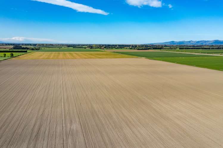 Selwyn Lake Road Leeston_14