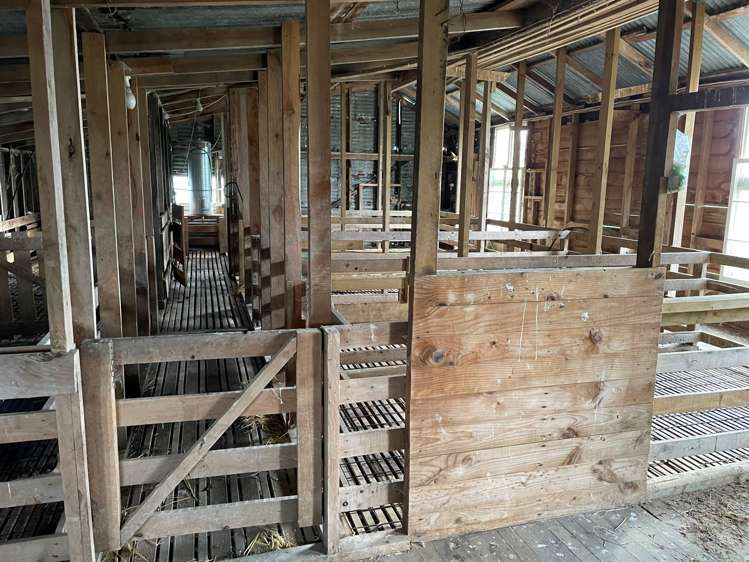 160 Kohinui Road Pahiatua_7