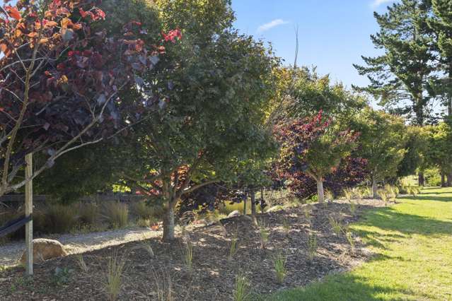 763 Paerata Road Pukekohe_3