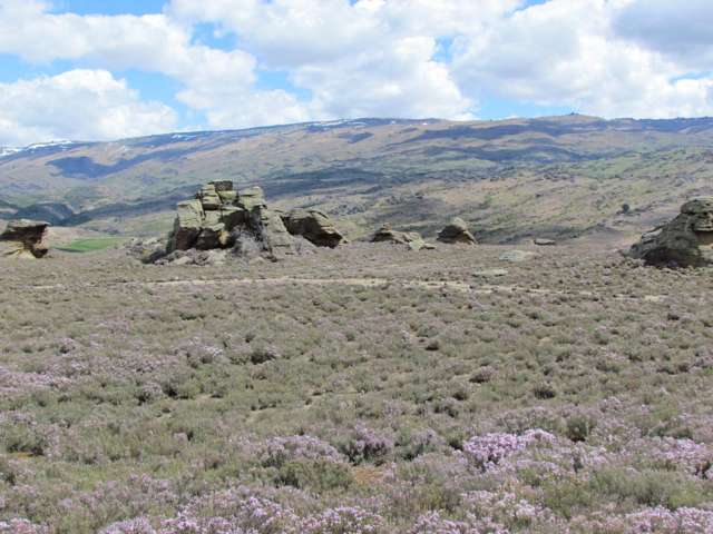 Tor Hill Road Conroys Gully_1