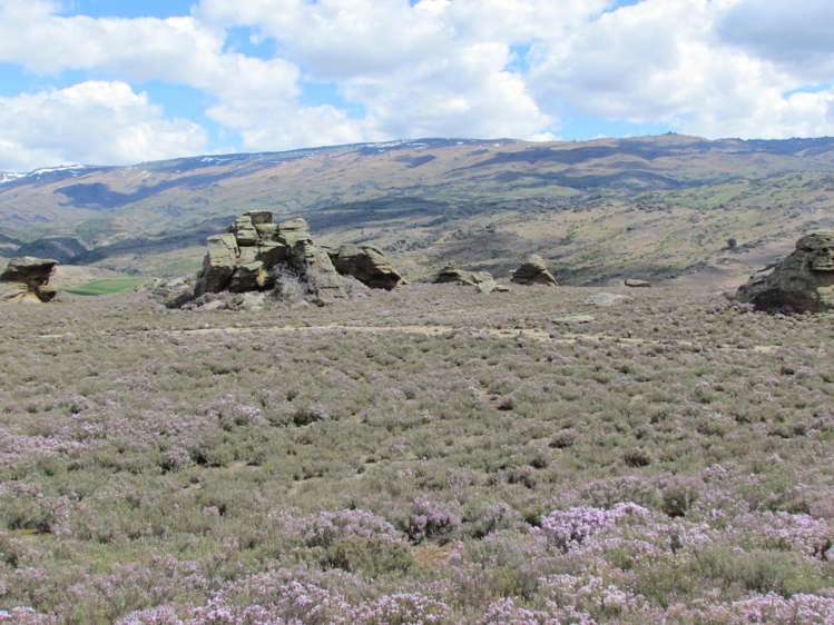 Tor Hill Road Conroys Gully_1