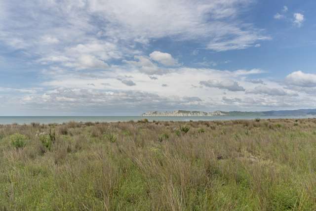 564 Centennial Marine Drive Matawhero_4