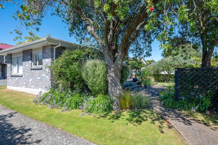 8a Devon Street Glenholme_15