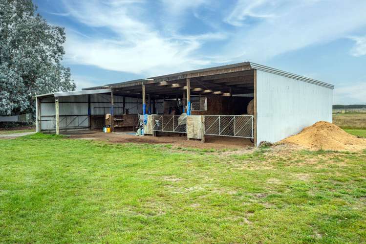 39 Brosnan Road Levels_2