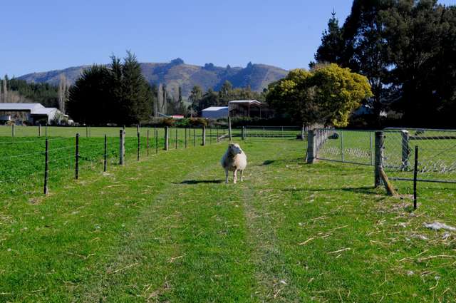 64 Waihao Back Road Waimate_2