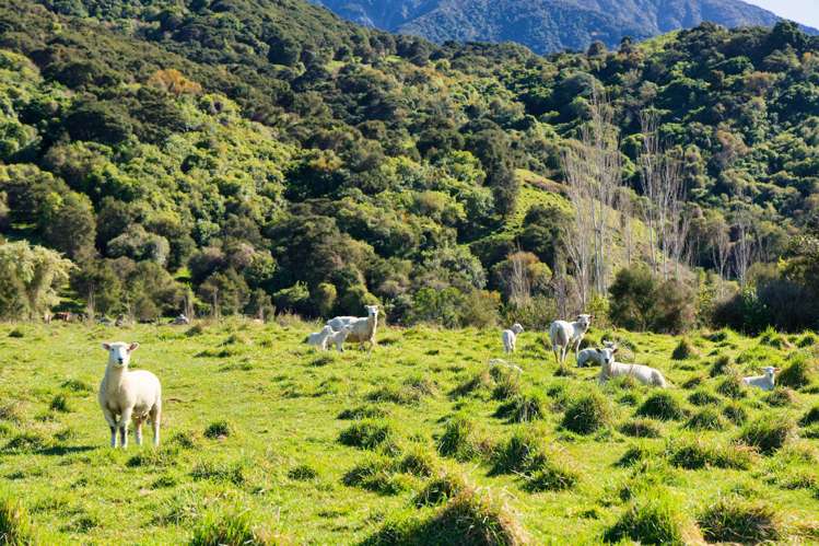 53 Grange Road Kaikoura_12