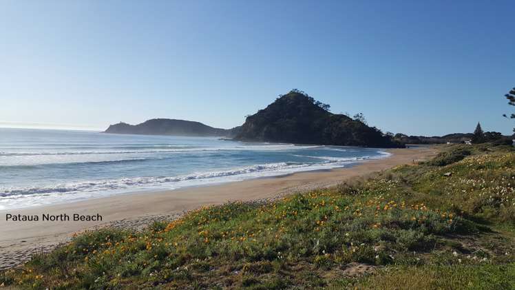 906 Pataua South Road Parua Bay_25