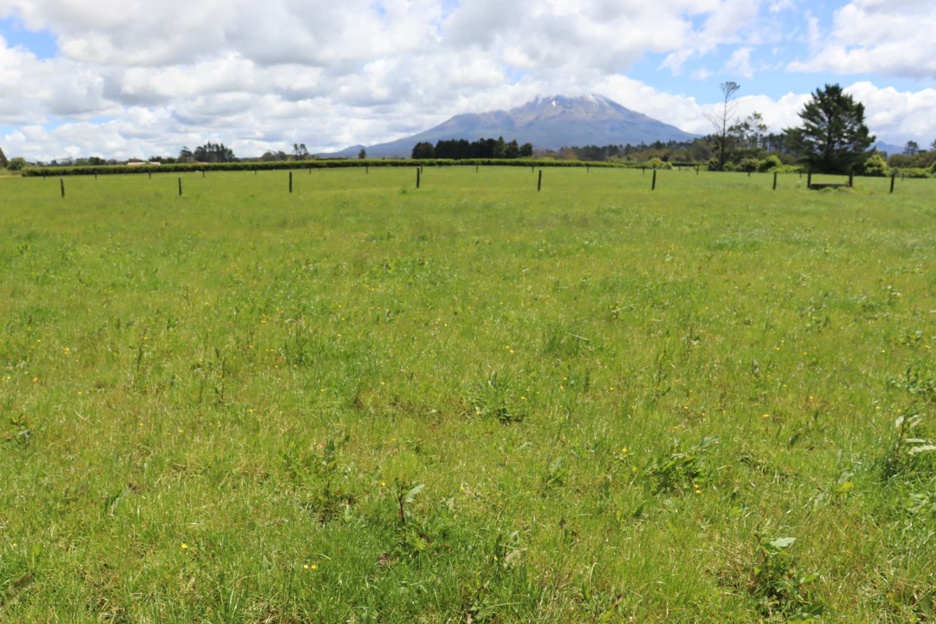 172 Radnor Road Midhirst_0