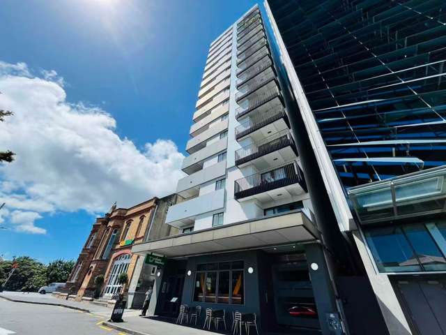 Great location 1 Bedrooms Home in Auckland City