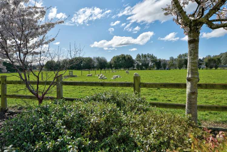 24 Mckinnon Road Edendale_45