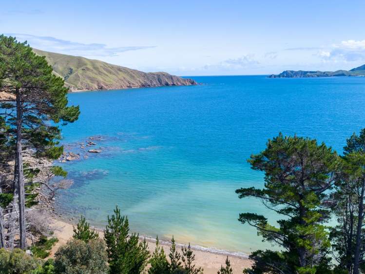 5193 Croisilles-French Pass Road Marlborough Sounds_15