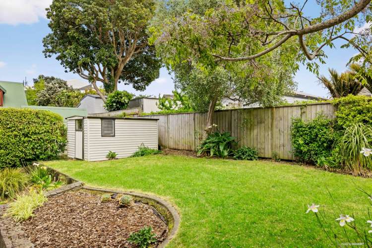 6a Woodbine Avenue Greenlane_2