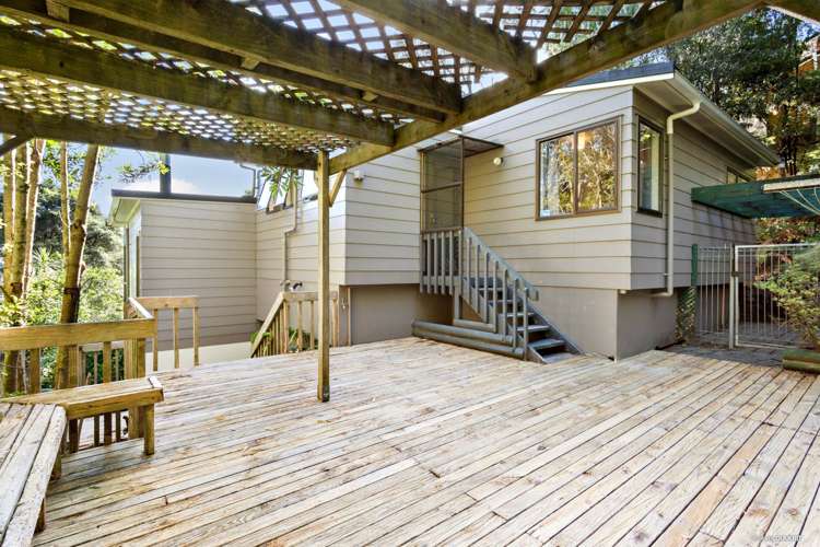 43 Wirihana Road Titirangi_14