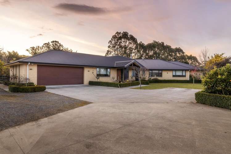 255 Calico Line Marton_33