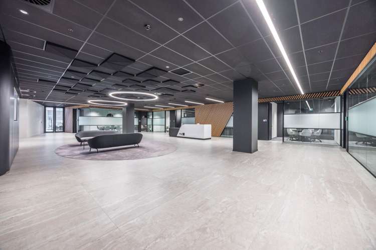50 Albert Street City Centre_1