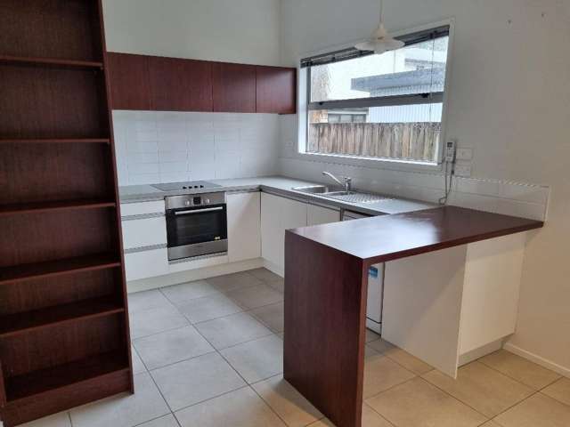 3A Maitland Street Frankton_2