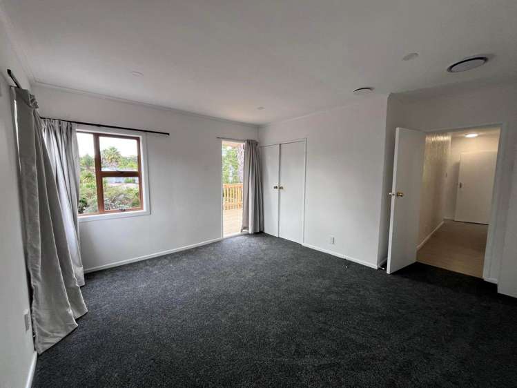 Withers Road Glen Eden_8