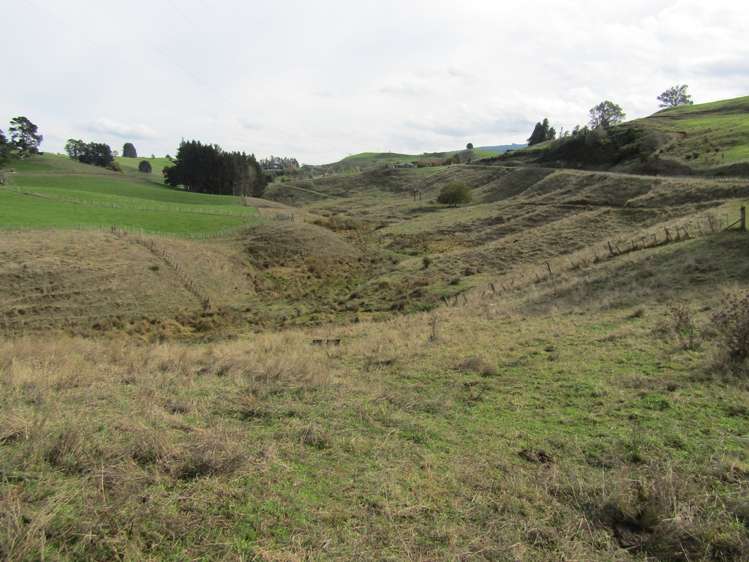 Te Tahi Road Pirongia_10