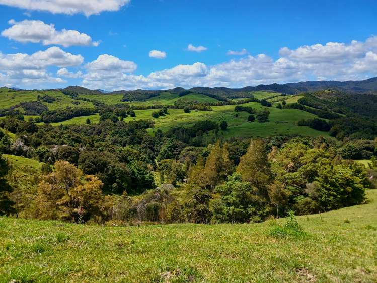 Lot 2 Otangaroa Road Kaeo_18