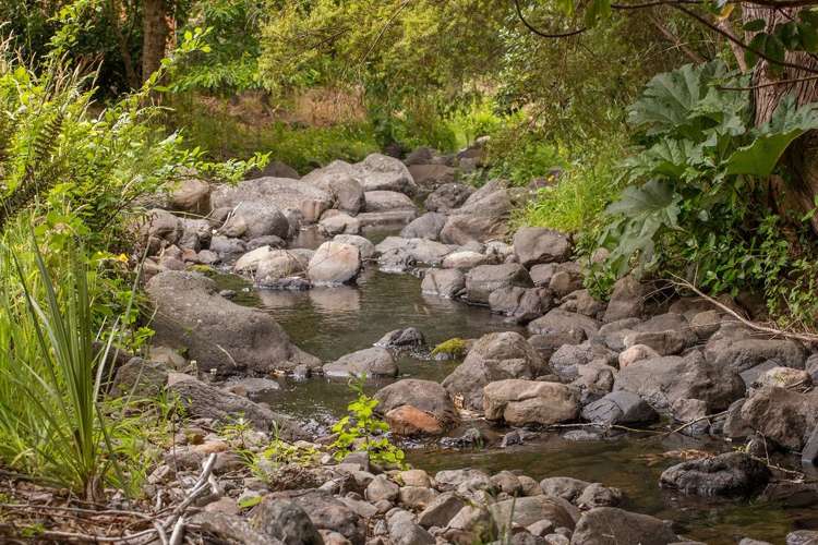 81 Grehan Valley Road Akaroa_19