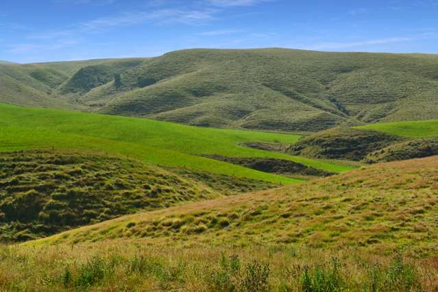 Fuchsia Creek Road Waitaki_4