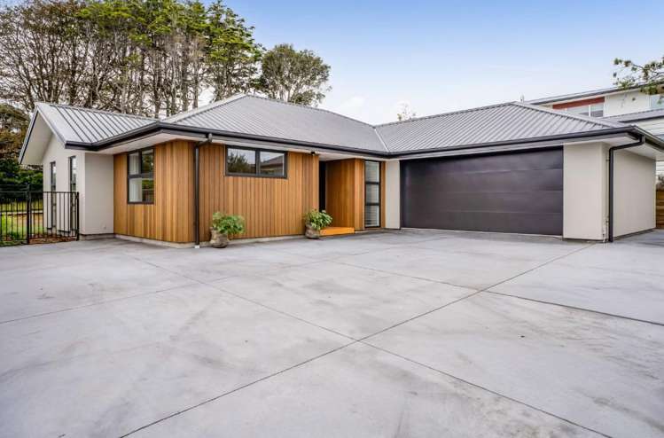 227a Tukapa Street Westown_0