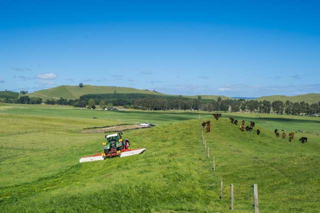 658 Tukairangi Road Kinloch_4