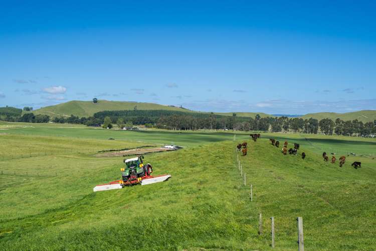 658 Tukairangi Road Kinloch_4