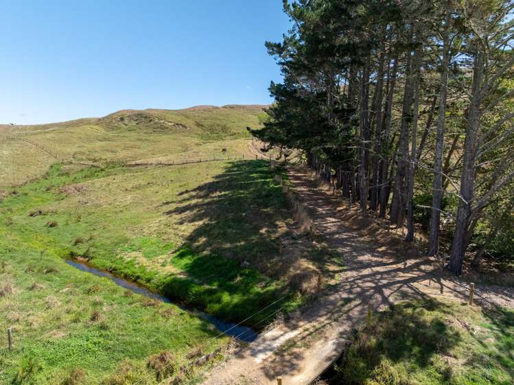 356 Klondyke Road Onewhero_11