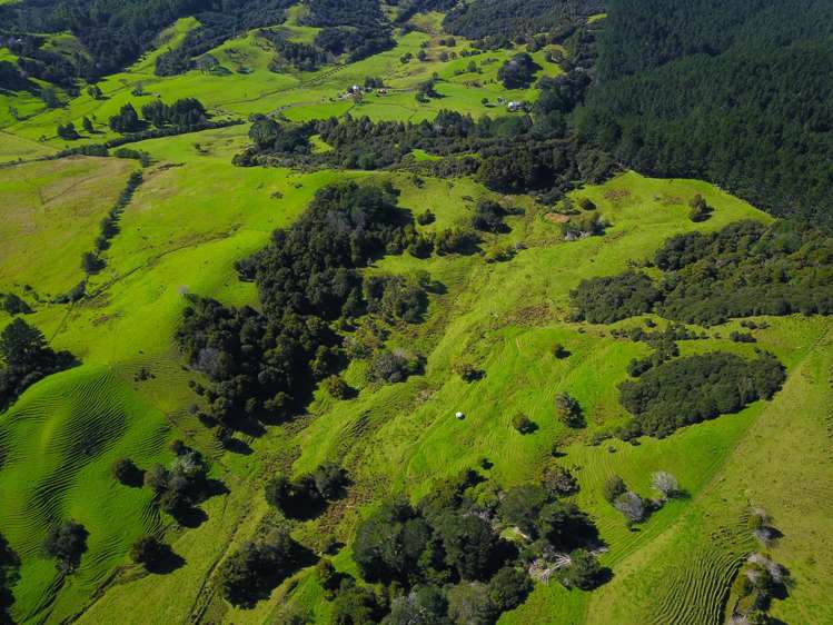 110 Diggers Valley Road Herekino_24