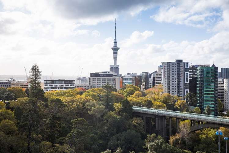 503/135 Grafton Road Grafton_11