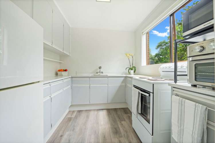 23 Pohutukawa Place Ellerslie_7