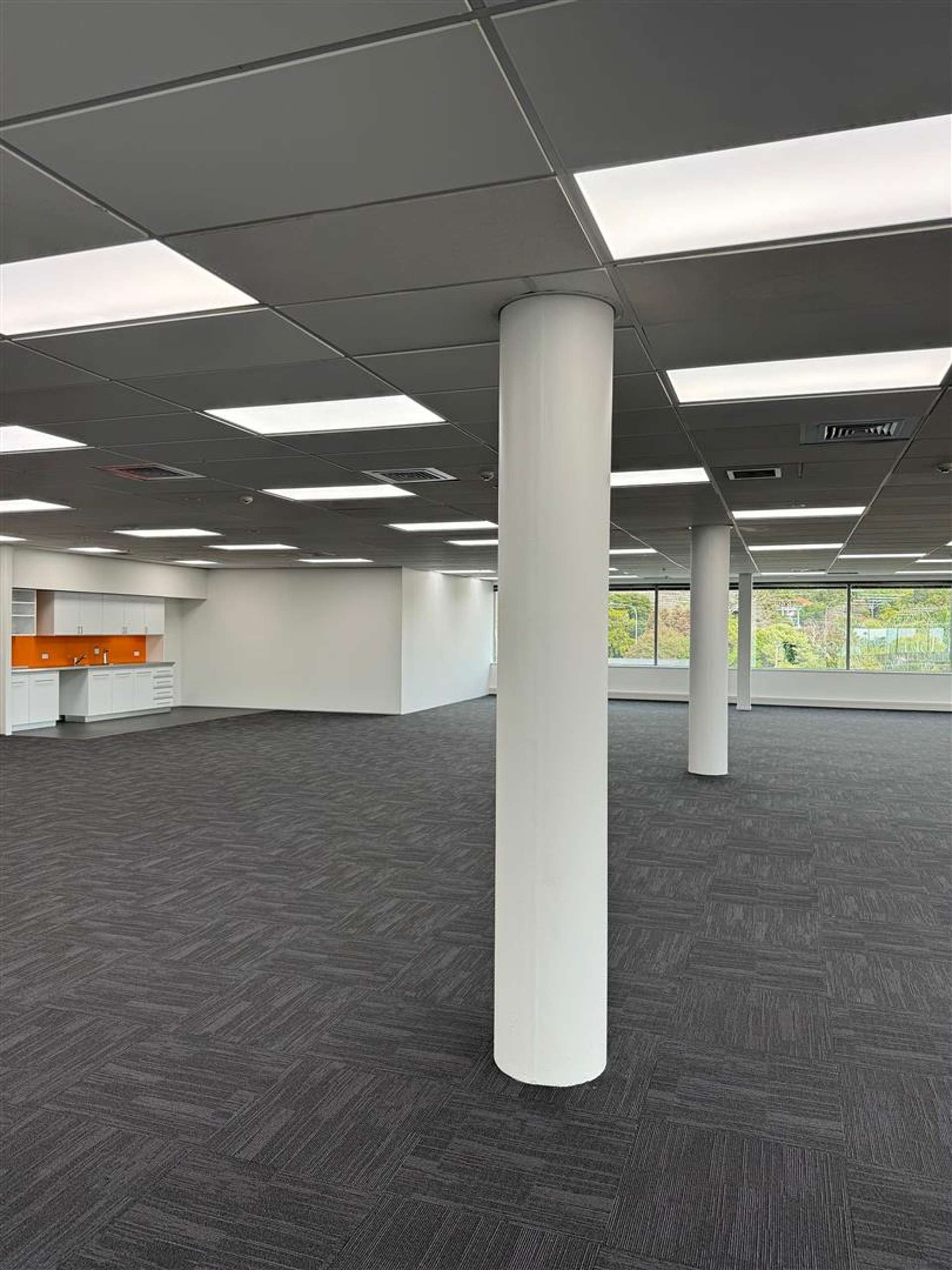 3/205 Great South Road Greenlane_0