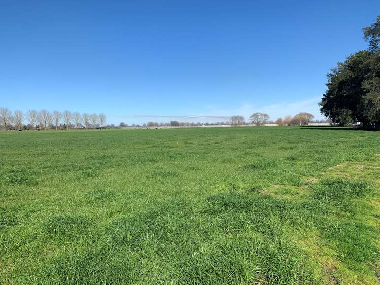 Banks Road Matamata_5