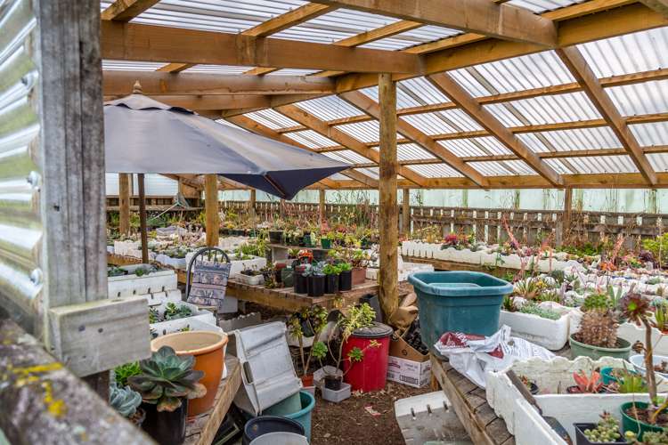 181 Park Road Carterton_15