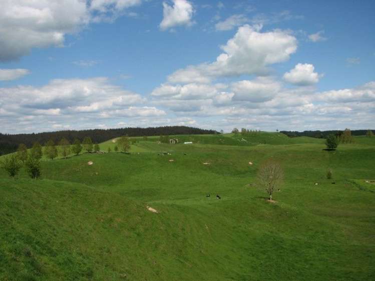 53 Worth Road Putaruru_3