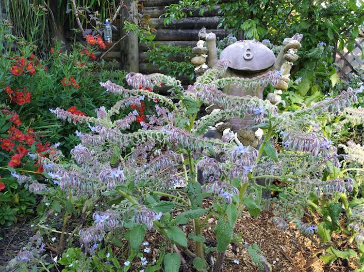 33a Geraldine Place Kohimarama_10