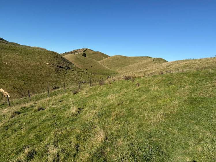 196 Ngapaeruru Rd Dannevirke_21