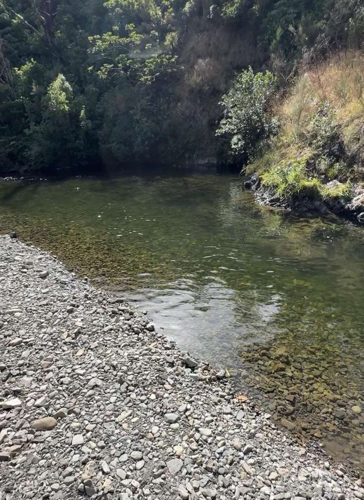 428 Mangatarere Valley Road Carterton_9