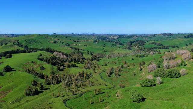 246 Allen and Eyre Road Onewhero_3