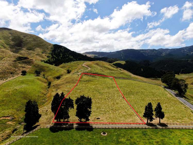 Lot 4, 151 Hill Road Te Aroha_10