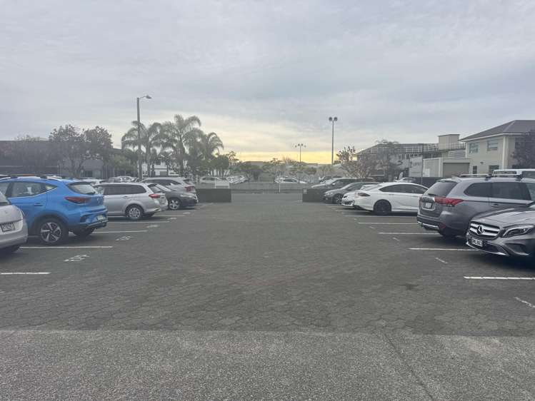 207 Avenue Road East Hastings_10