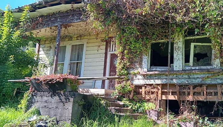 The two-bedroom shack on Con Street, in Seddonville, Buller, sold for below its initial asking price of <img45,000. Photo / Supplied