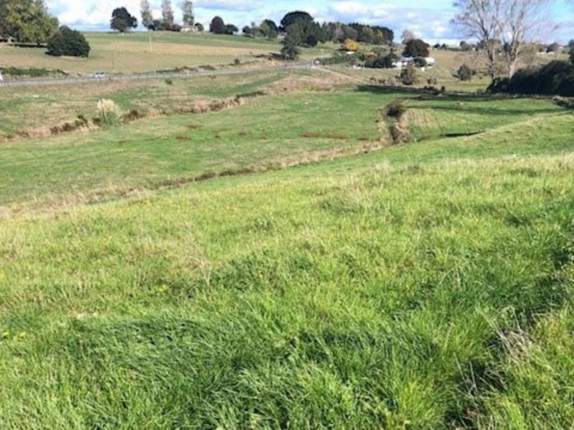 State Highway 3 Waitomo_0