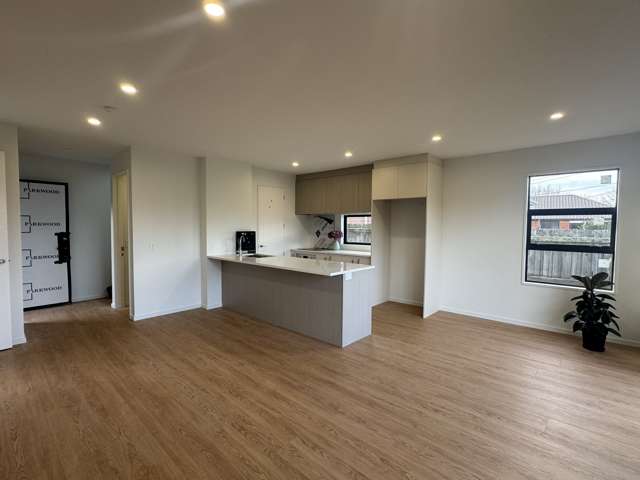 41 Newmark Street Bishopdale_3