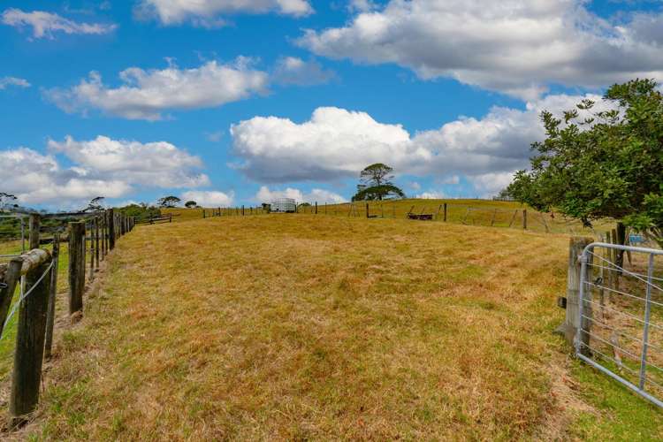 14b Wairere Road Waitakere_34