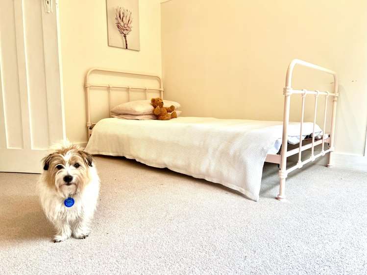 Lot Lot 2/1042 Rangiuru Road Te Puke_8