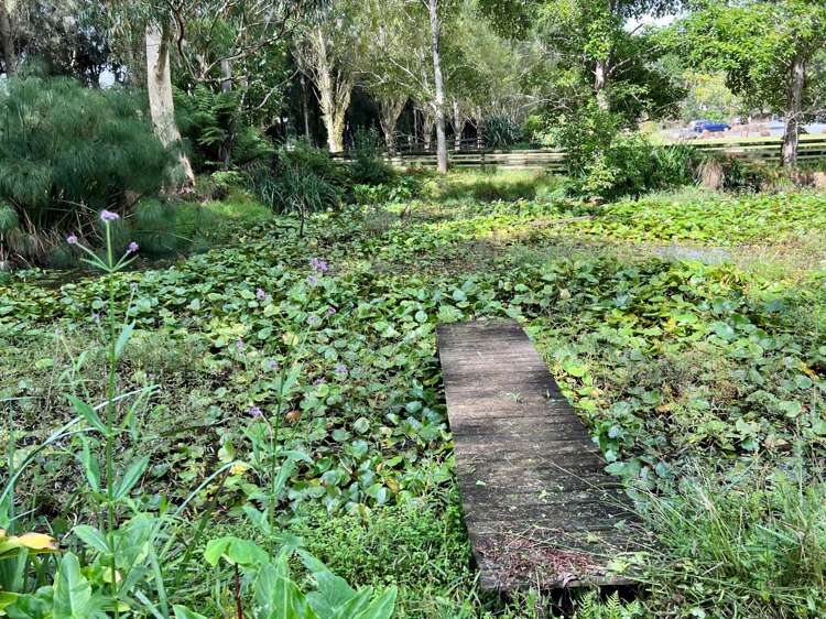 1244 State Highway 10 Kerikeri_15