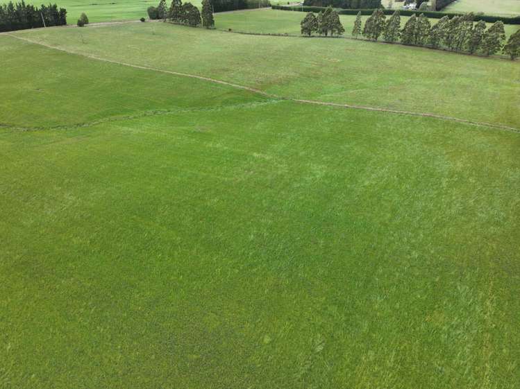 581 Nine Mile Road Riversdale_5