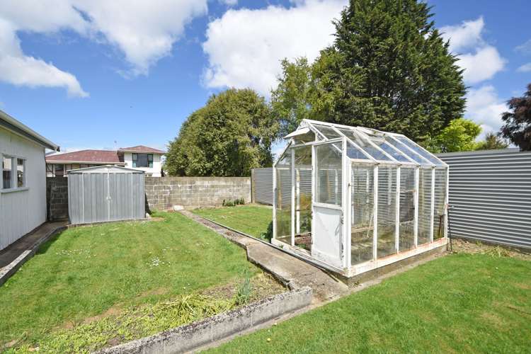 331 Chelmsford Street Waverley_16